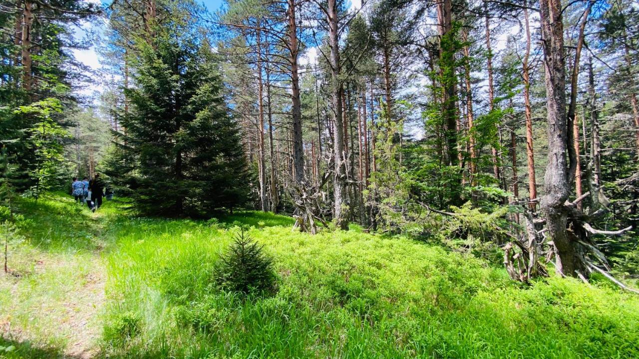 Eco Village Pavlovic Žabljak Exteriör bild