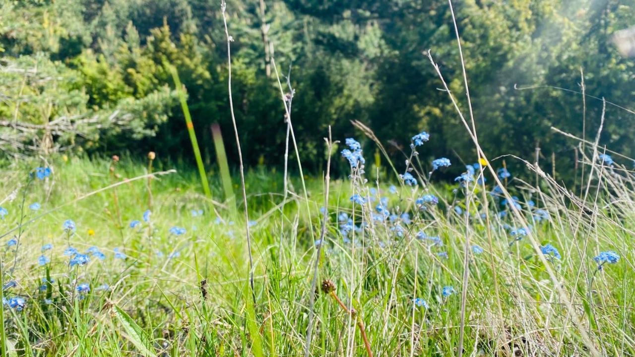Eco Village Pavlovic Žabljak Exteriör bild