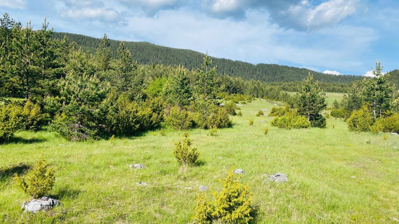 Eco Village Pavlovic Žabljak Exteriör bild
