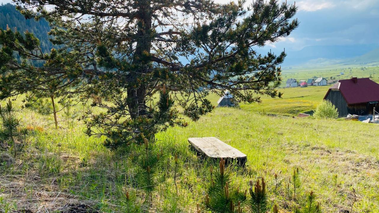 Eco Village Pavlovic Žabljak Exteriör bild