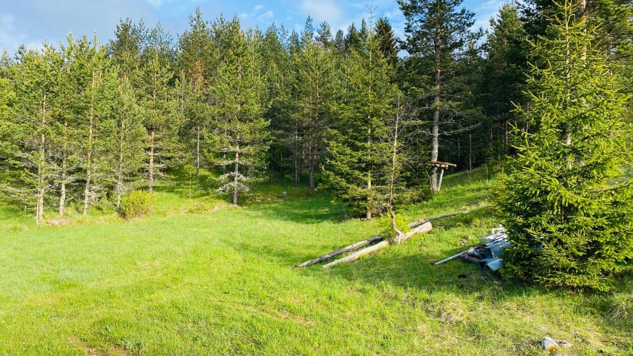 Eco Village Pavlovic Žabljak Exteriör bild