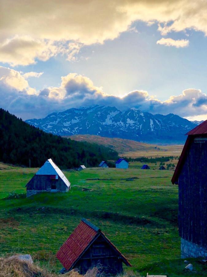 Eco Village Pavlovic Žabljak Exteriör bild