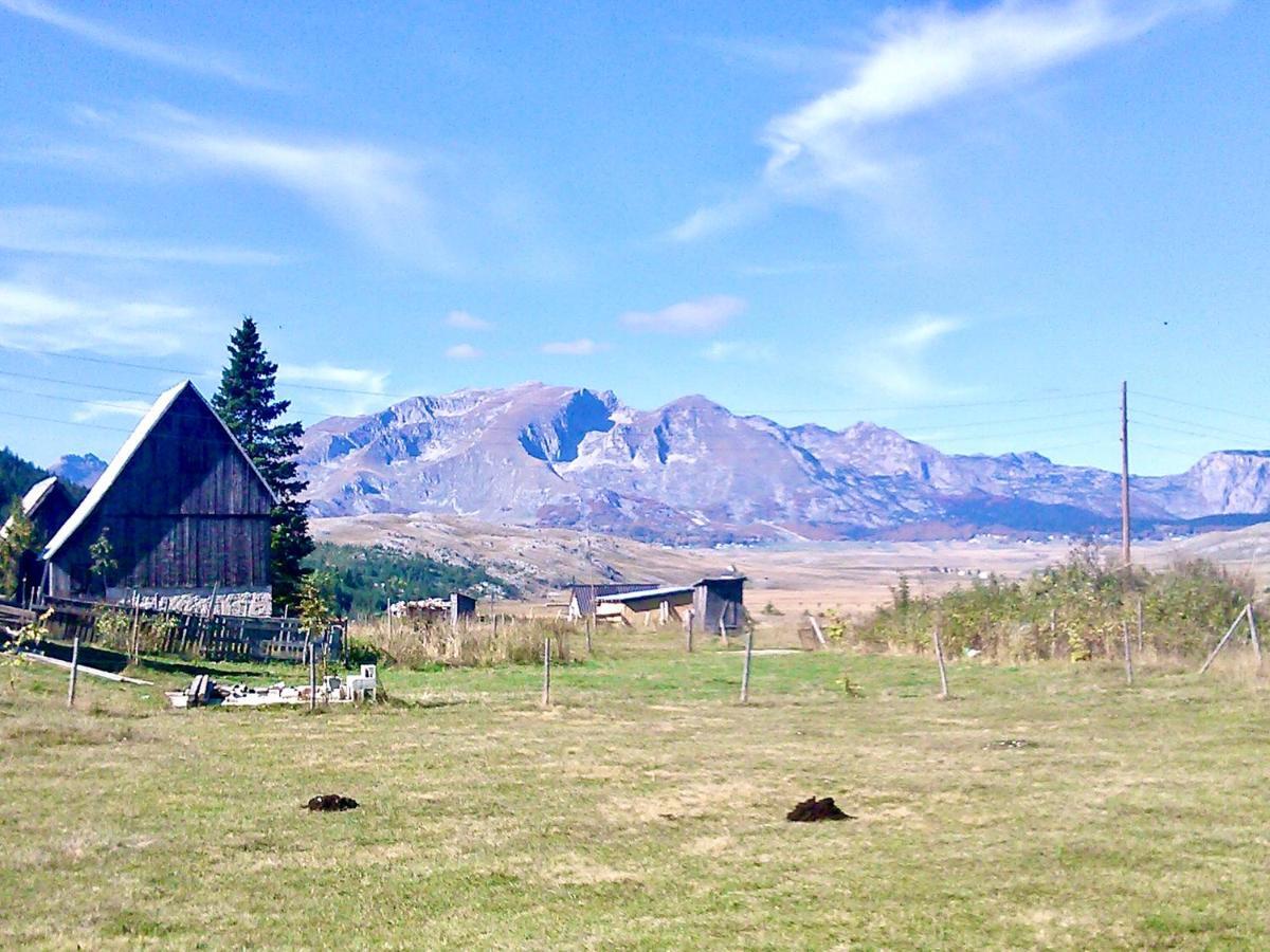 Eco Village Pavlovic Žabljak Exteriör bild