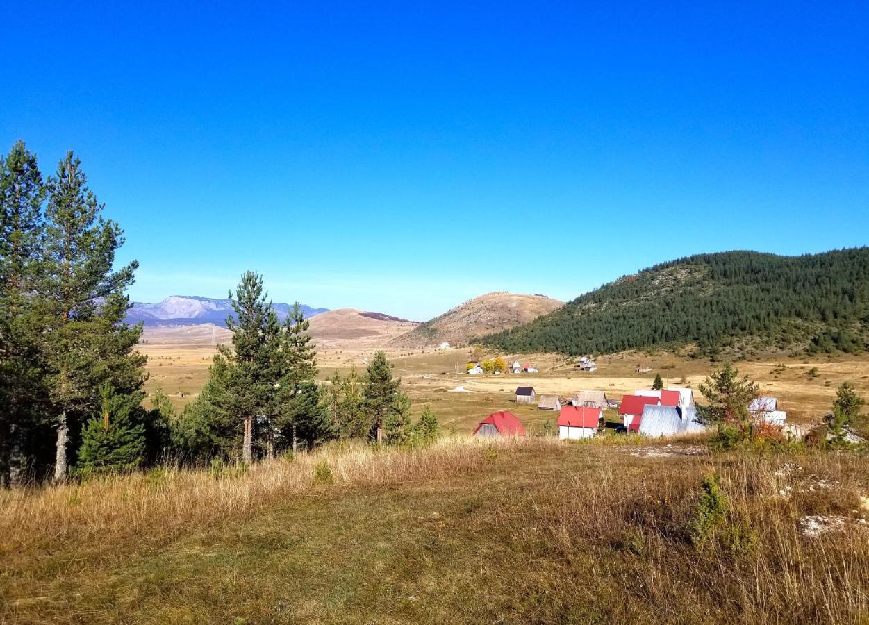 Eco Village Pavlovic Žabljak Exteriör bild