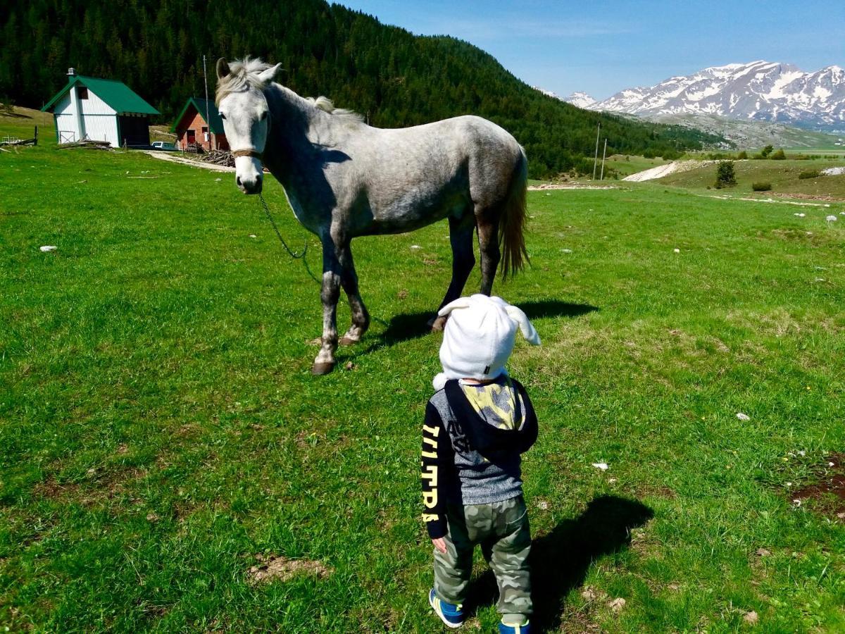 Eco Village Pavlovic Žabljak Exteriör bild